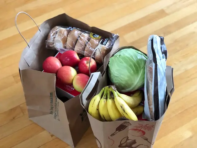 Photo of food in two grocery bags